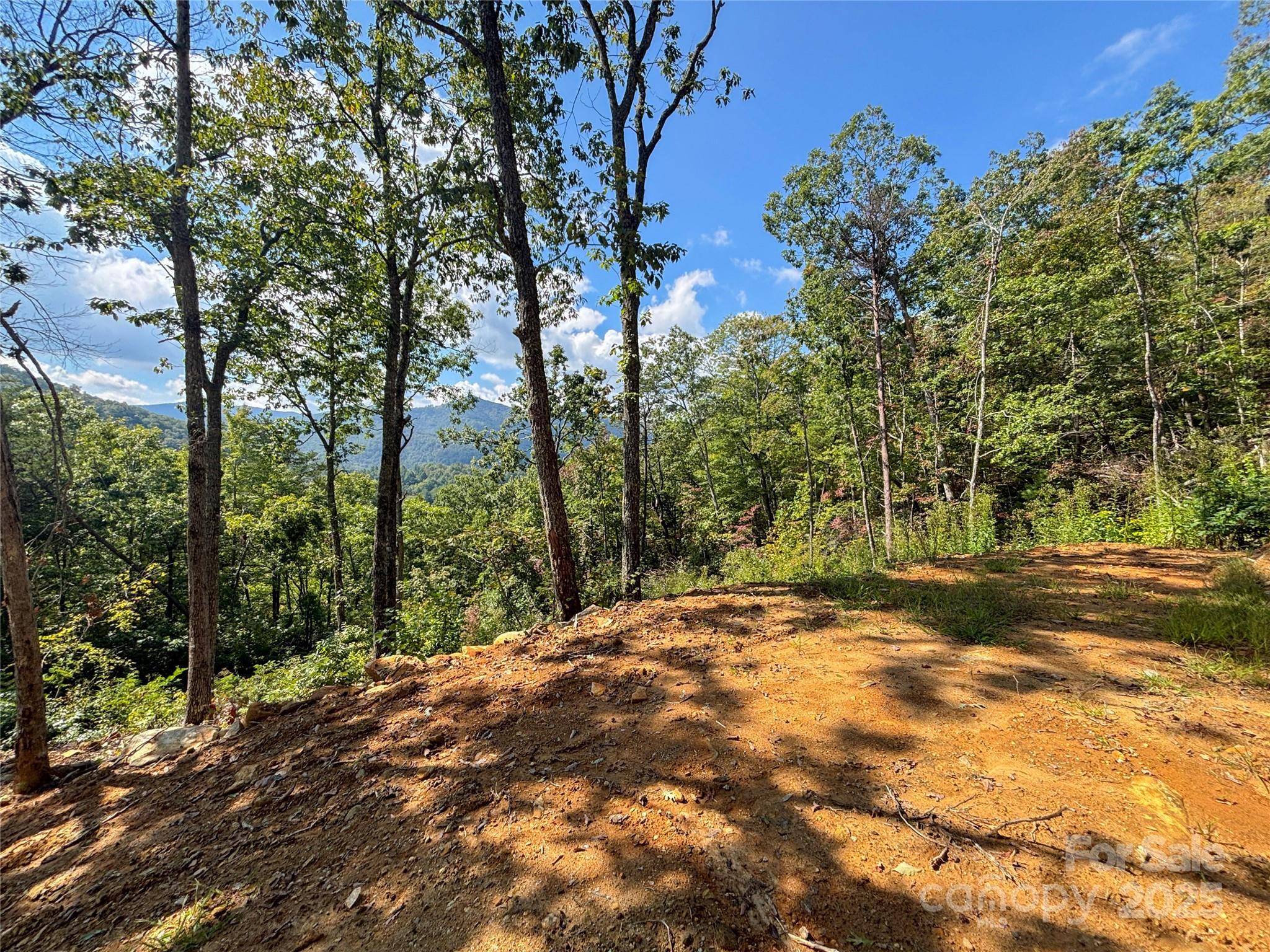 Image 3 Image 3
