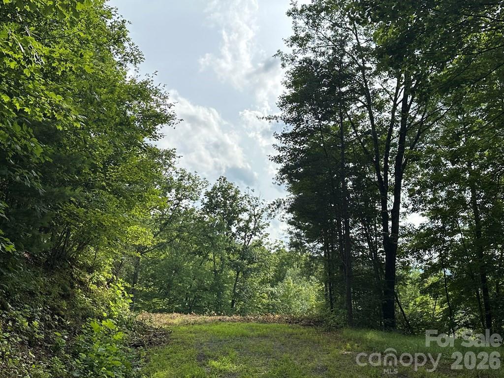 Image 3 Image 3