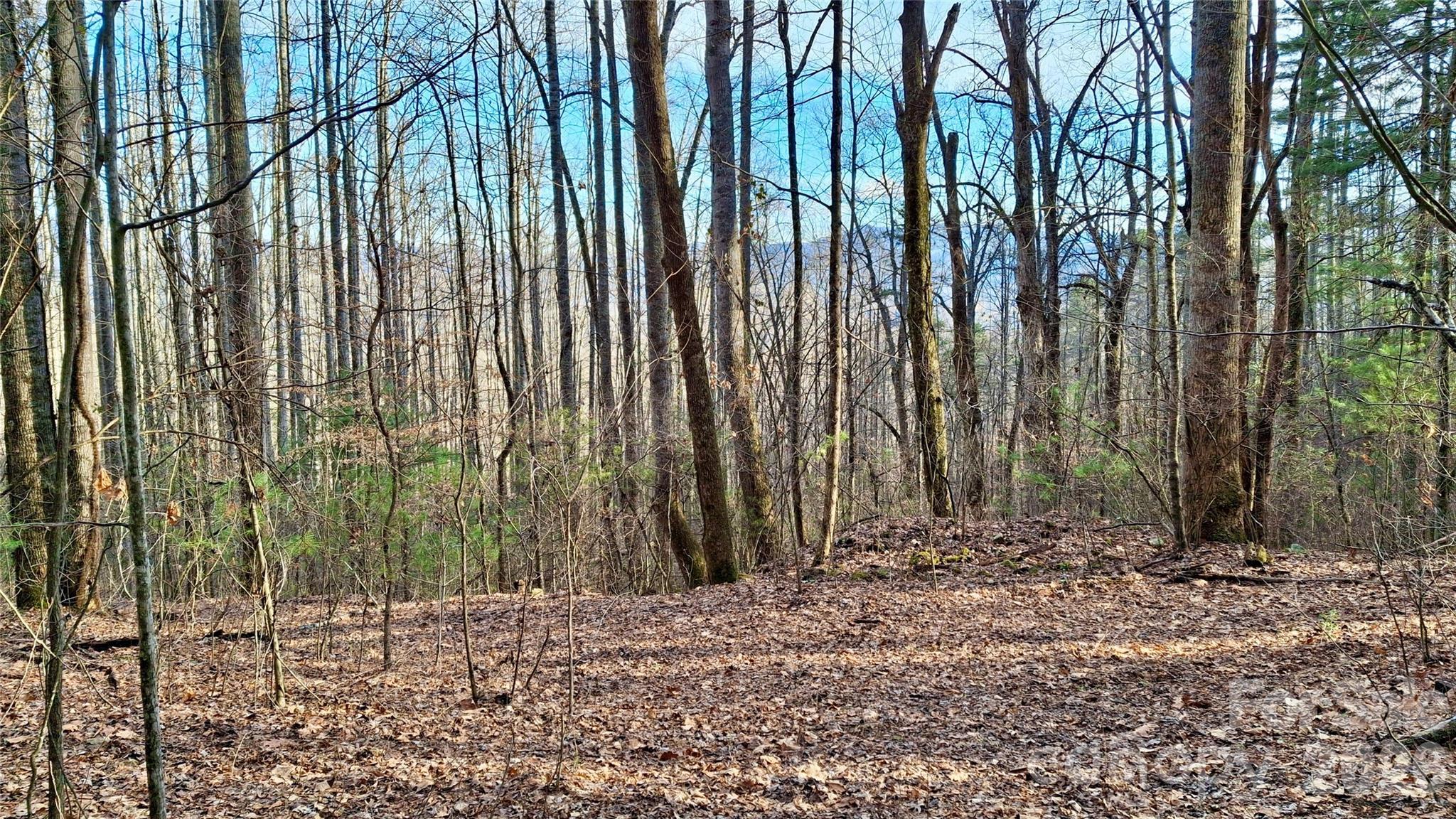 Image 3 Image 3