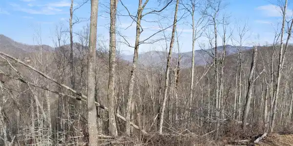 Image 3 Image 3