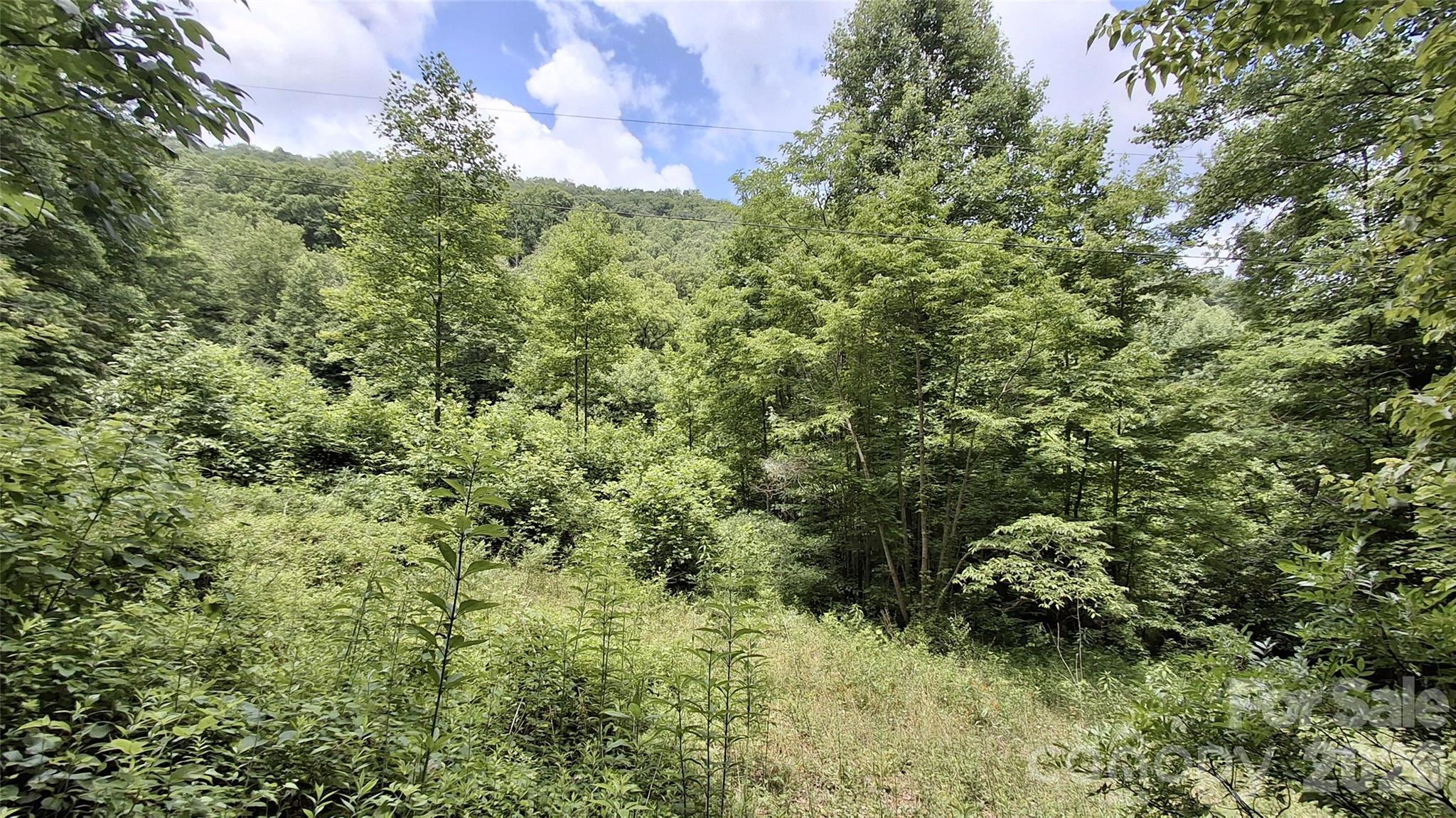 Image 3 Image 3