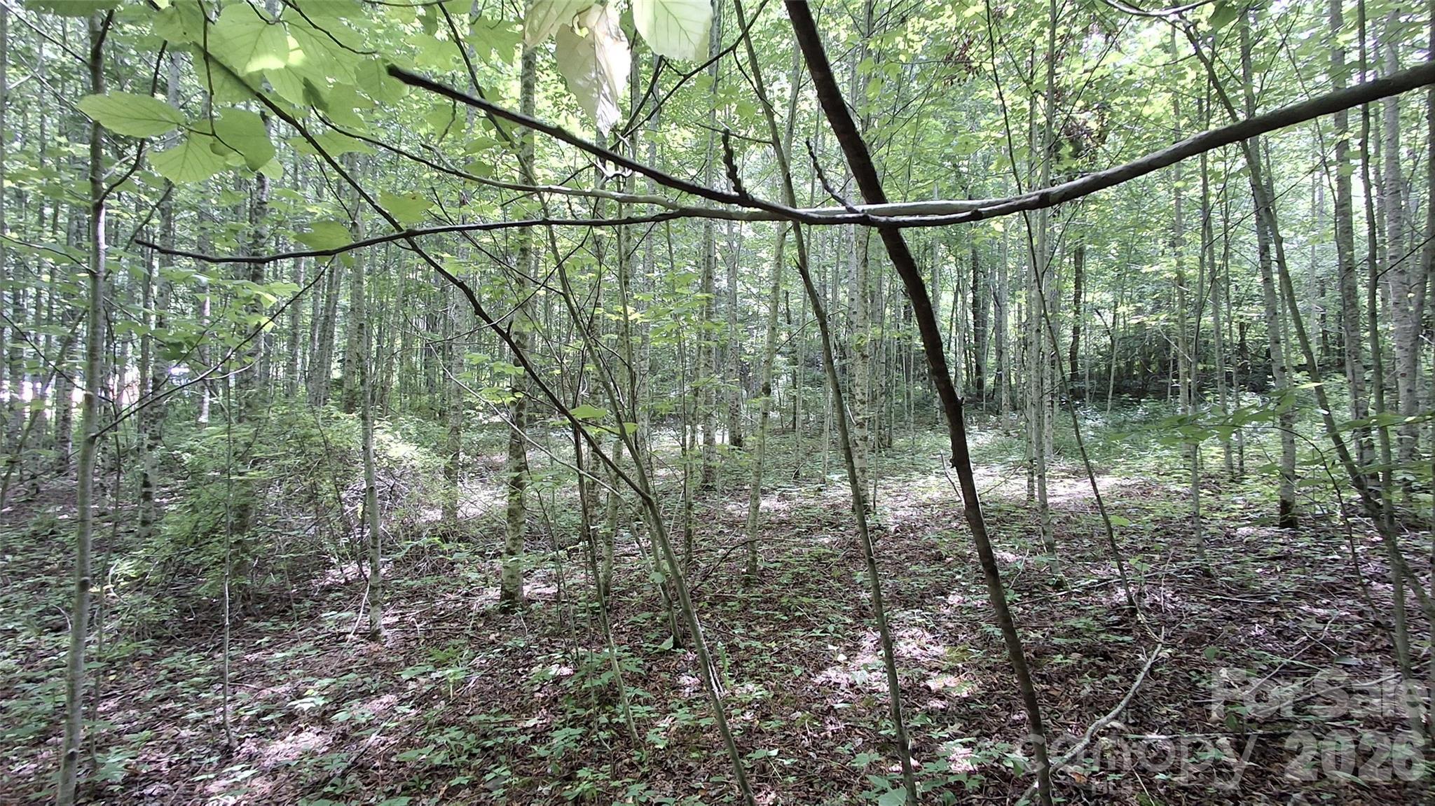 Image 4 Image 4