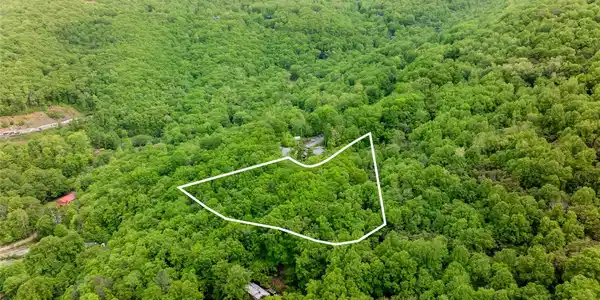 1111 Elm Tree Lane