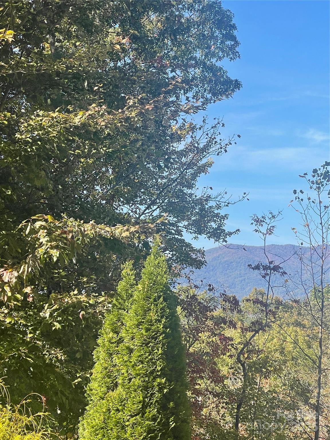 Image 2 Image 2