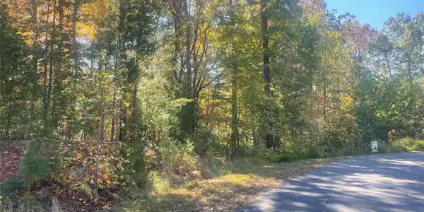 Image 4 Image 4