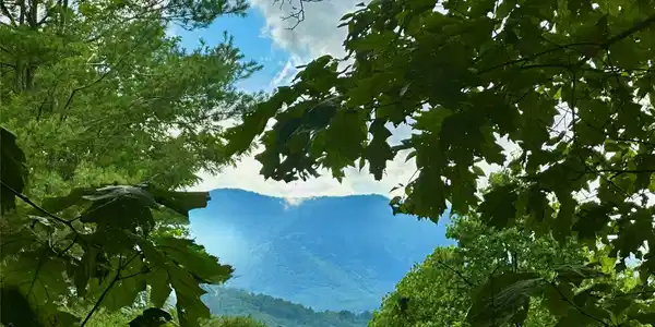 Image 4 Image 4