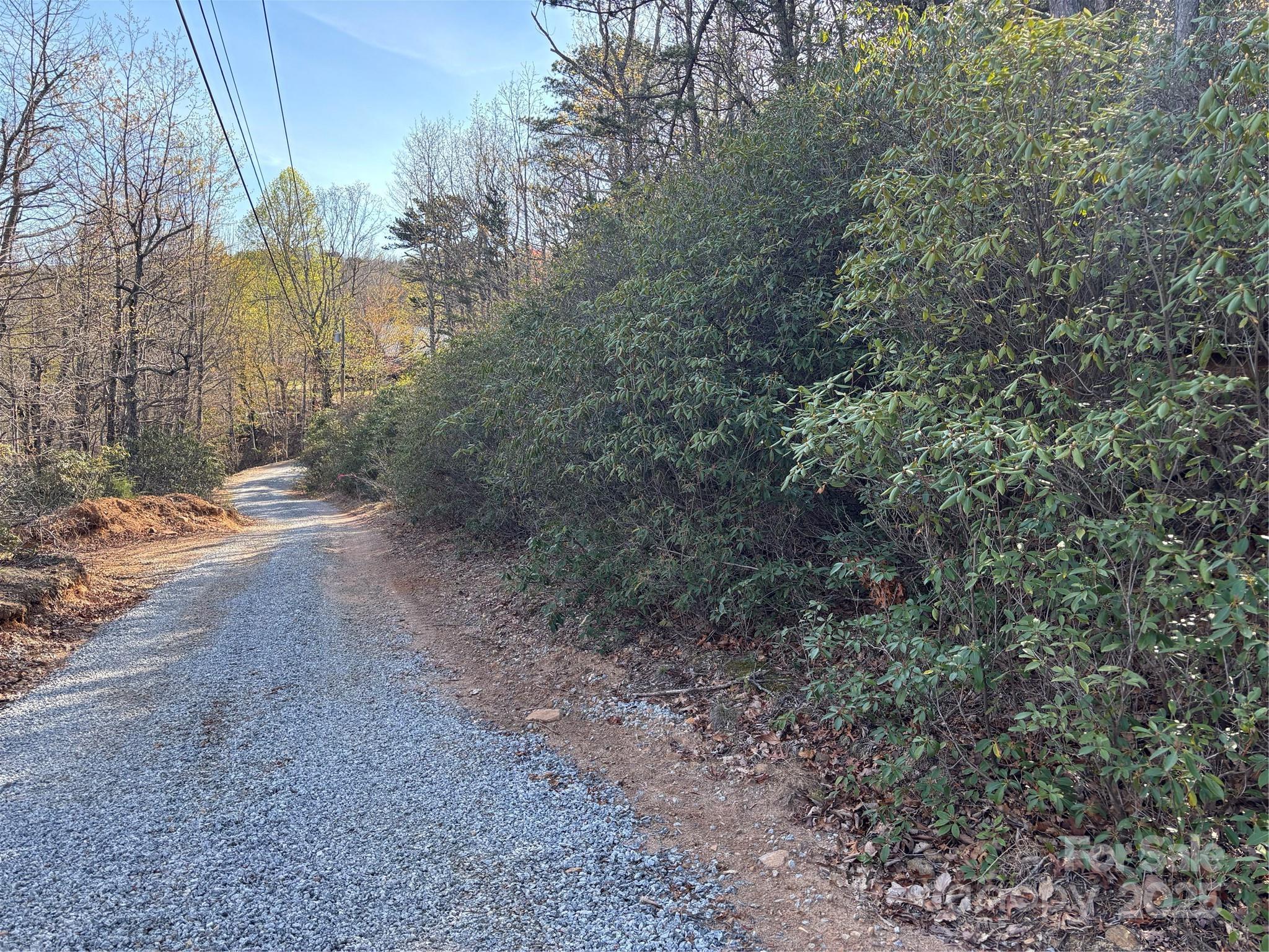 Image 3 Image 3