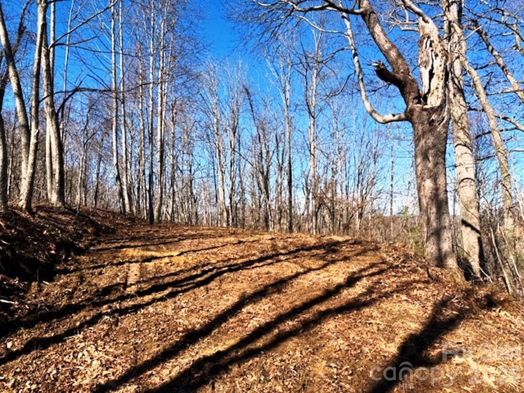 Image 2 Image 2