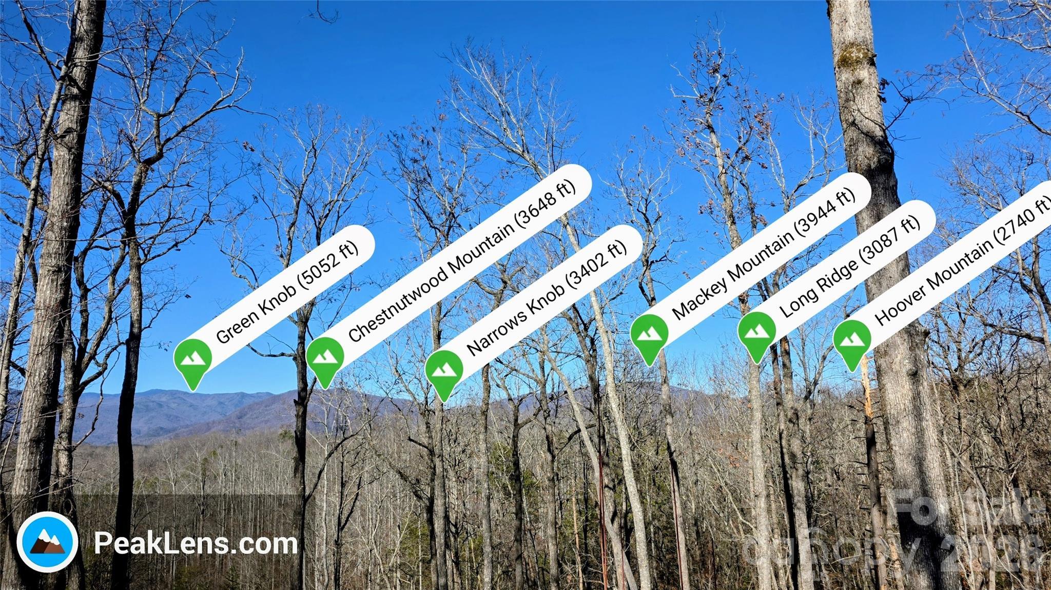 Image 4 Image 4