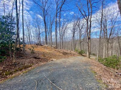 TBD Old Chestnut Mountain Road