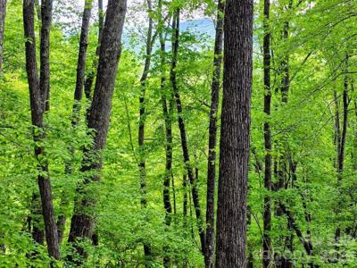 00 Hickory Springs Road