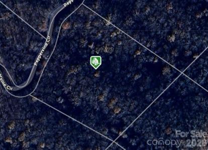 0000 Peppervine Circle