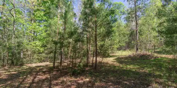 Image 4 Image 4