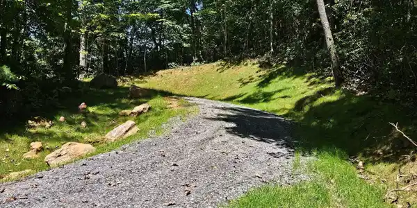 Image 4 Image 4
