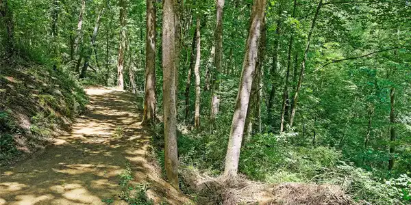 Image 2 Image 2