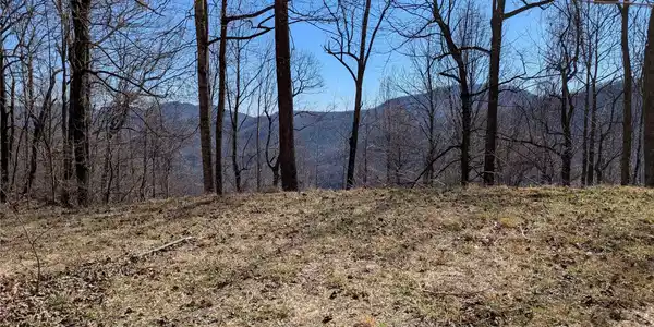Image 4 Image 4