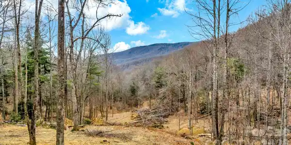 TBD Phillips Gap Road