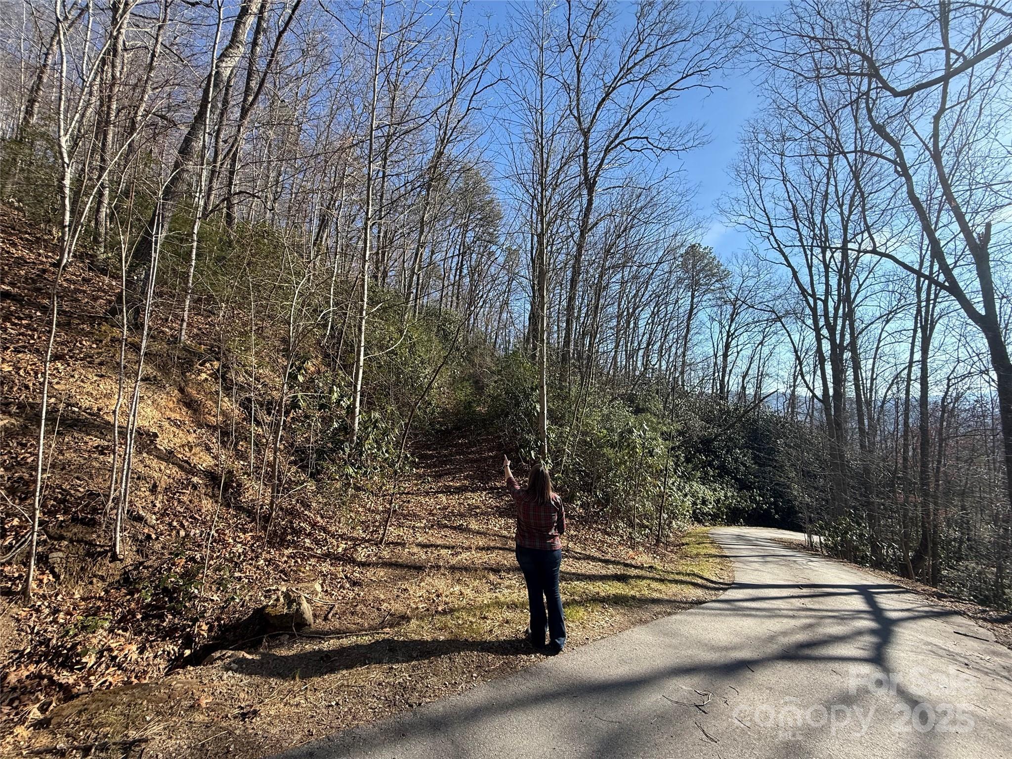 Image 1 Image 1