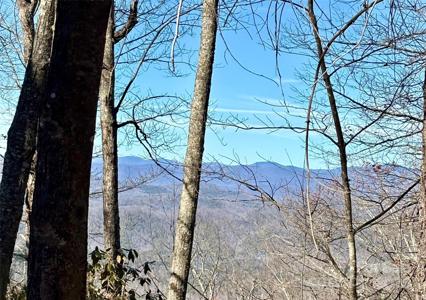 lot #13 Devils Hole Road