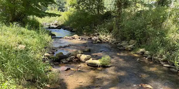 Image 4 Image 4