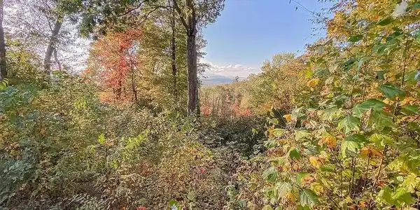 215 Crossvine Trail