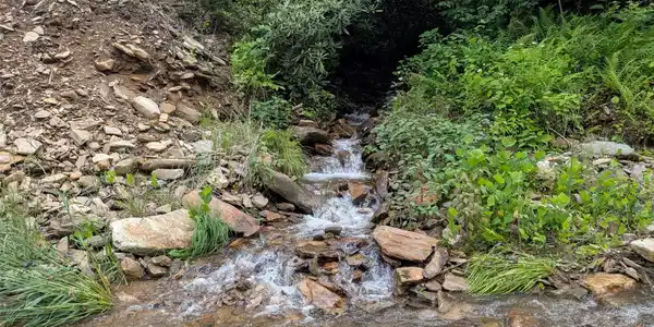 Image 2 Image 2