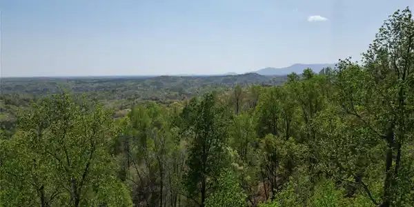 Image 4 Image 4
