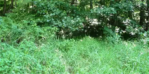 Image 4 Image 4