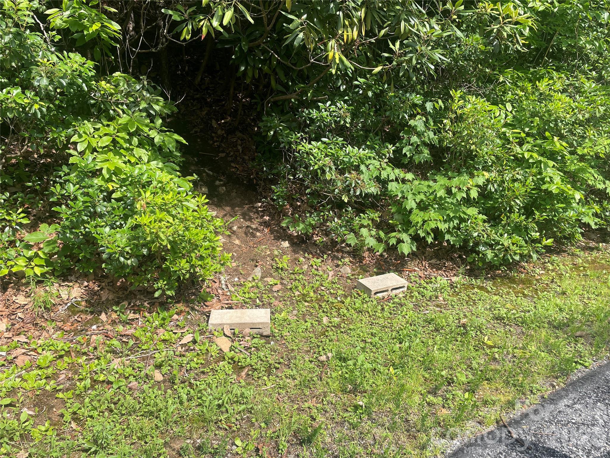 Image 3 Image 3