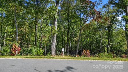 0 Mountain Grove Lane