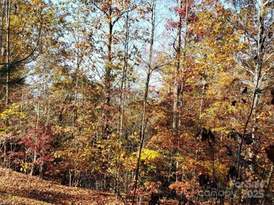 TBD Top Oaks Lane