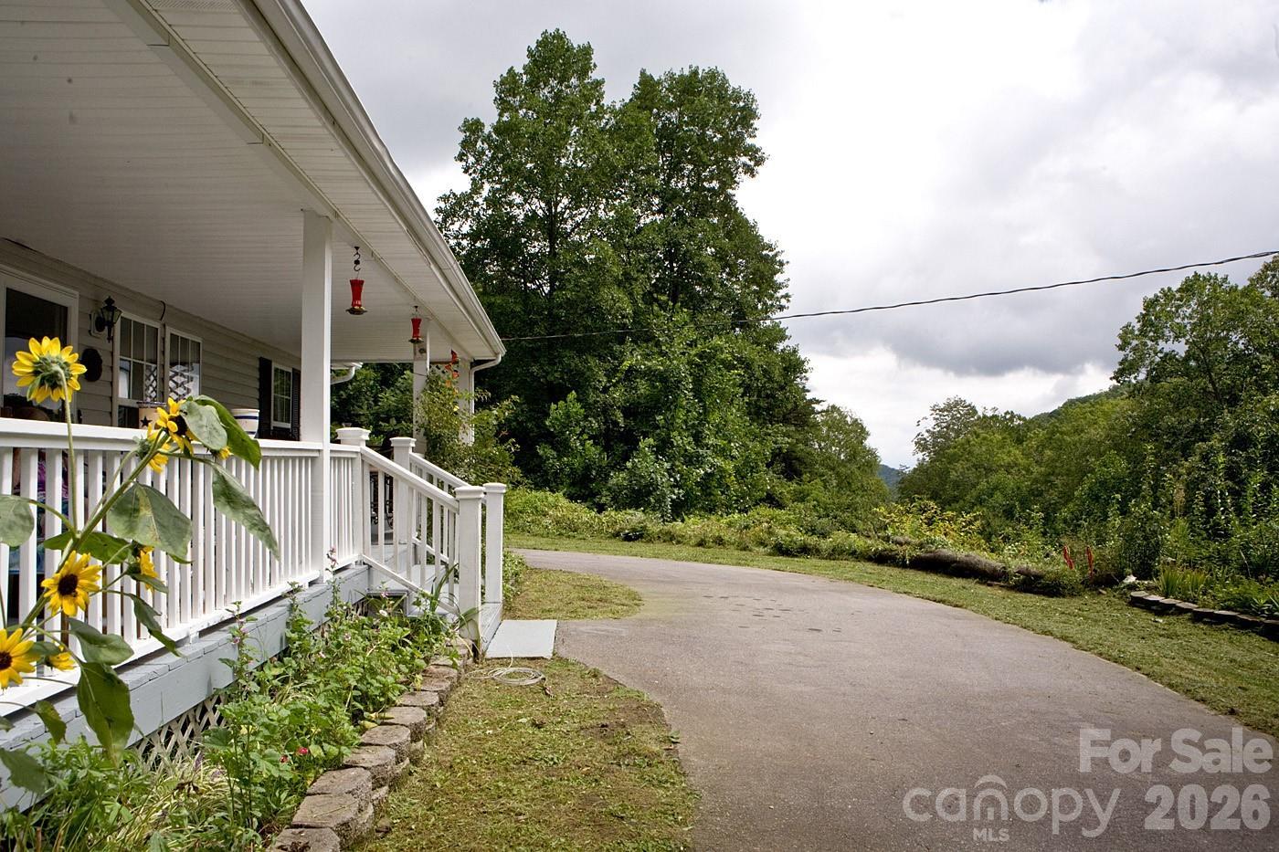Image 4 Image 4