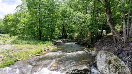 3206 Fork Mountain Road