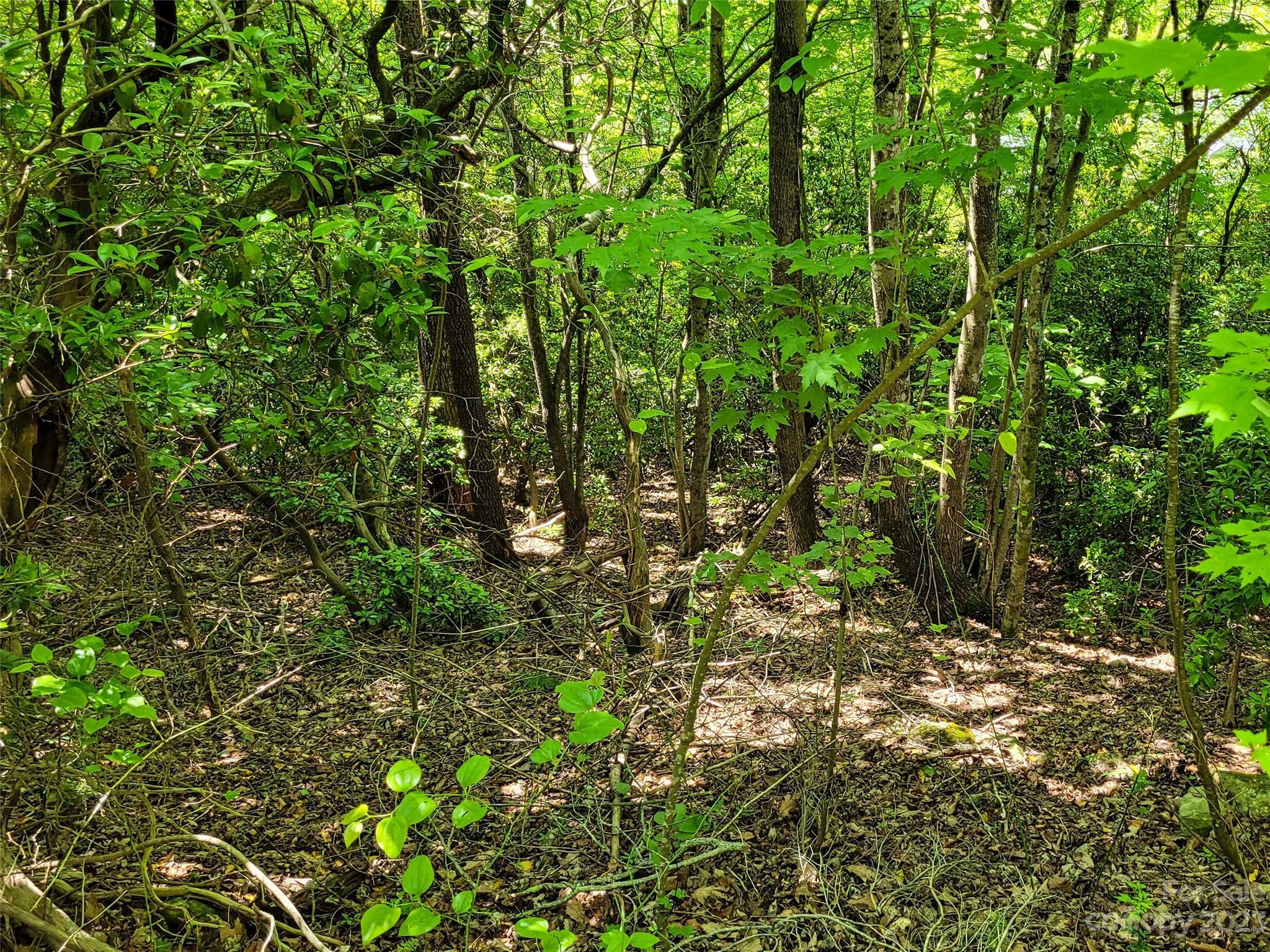 Image 4 Image 4