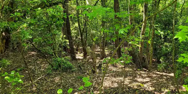 Image 4 Image 4