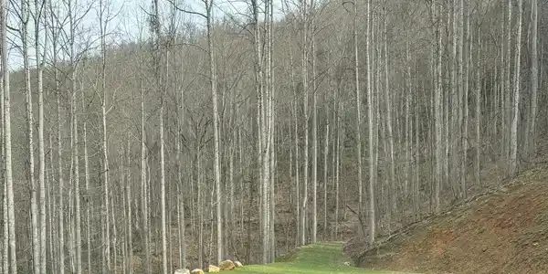 269 Flowering Ridge Road