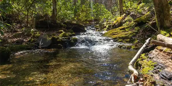 Lot 48c Bearwallow Ridge Trail