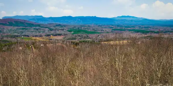 149 Mossy Oak Trail