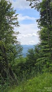 3355 Utah Mountain Road