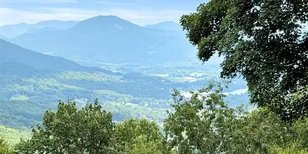 Image 4 Image 4
