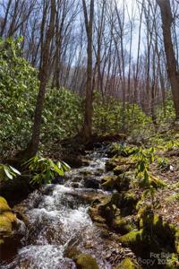 Lot 50 Bearwallow Ridge Trail