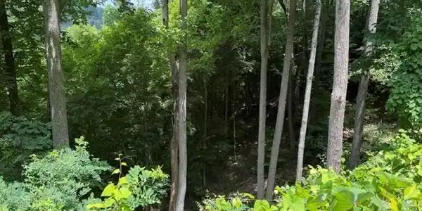 Image 2 Image 2
