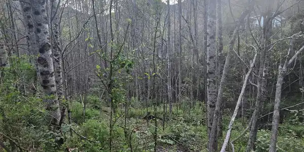 Lt 1 Running Water Circle