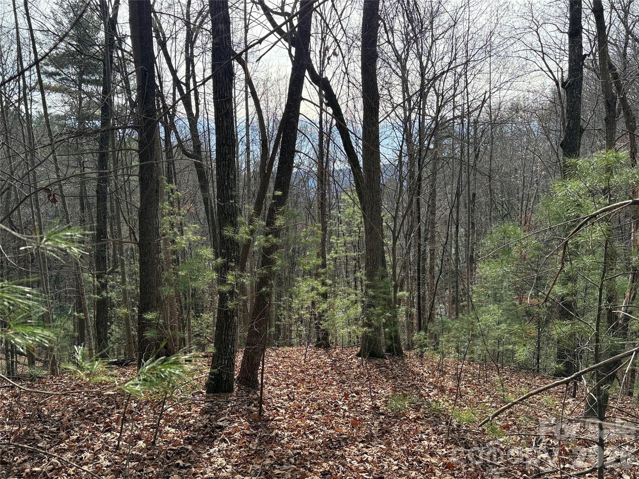 Image 2 Image 2