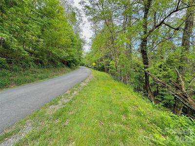 TBD Alpine Drive