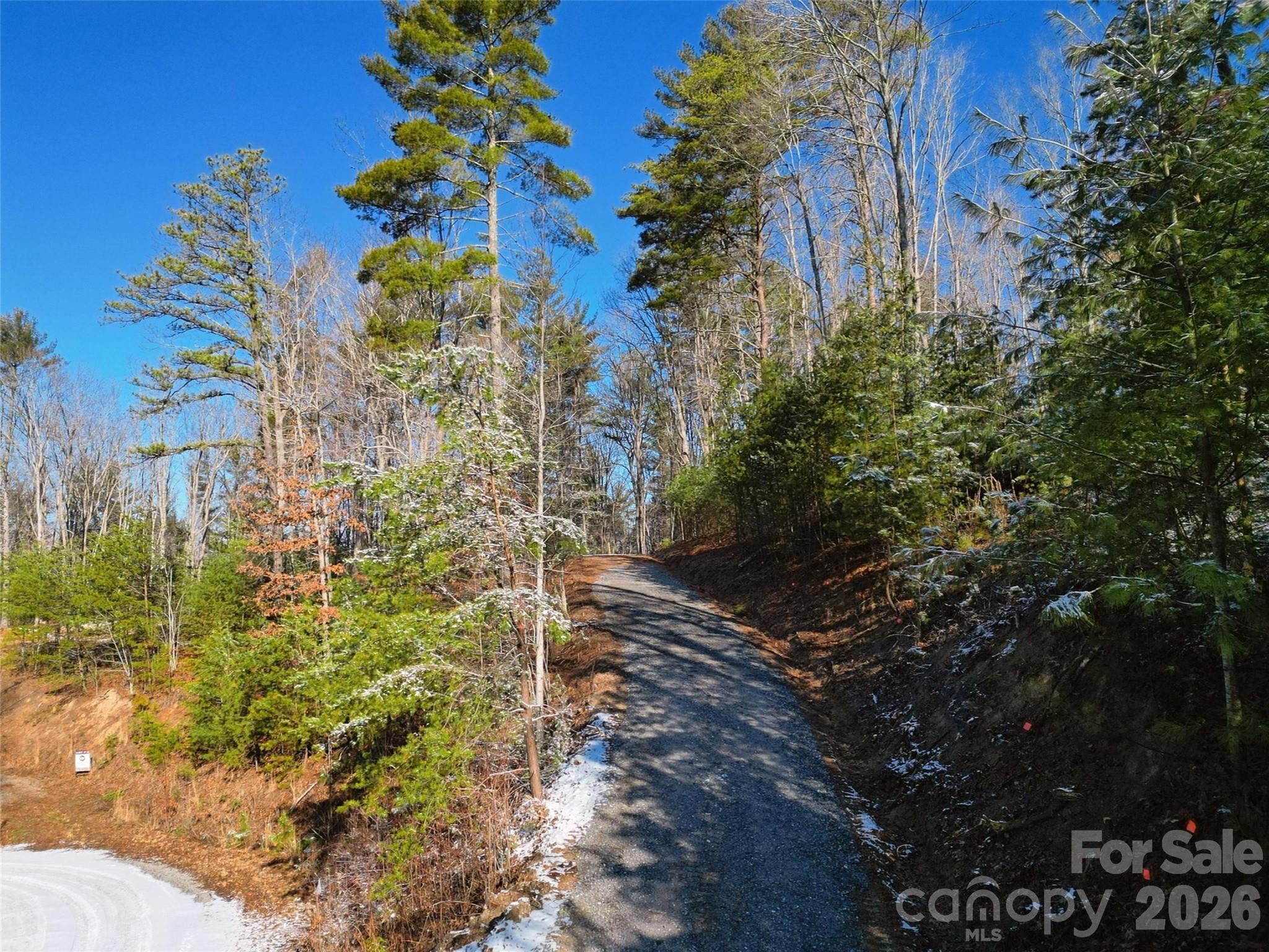 Image 4 Image 4