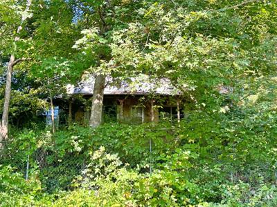 324 Buzzards Roost Road