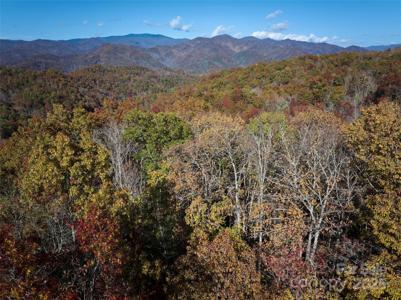 00 Black Forest Drive