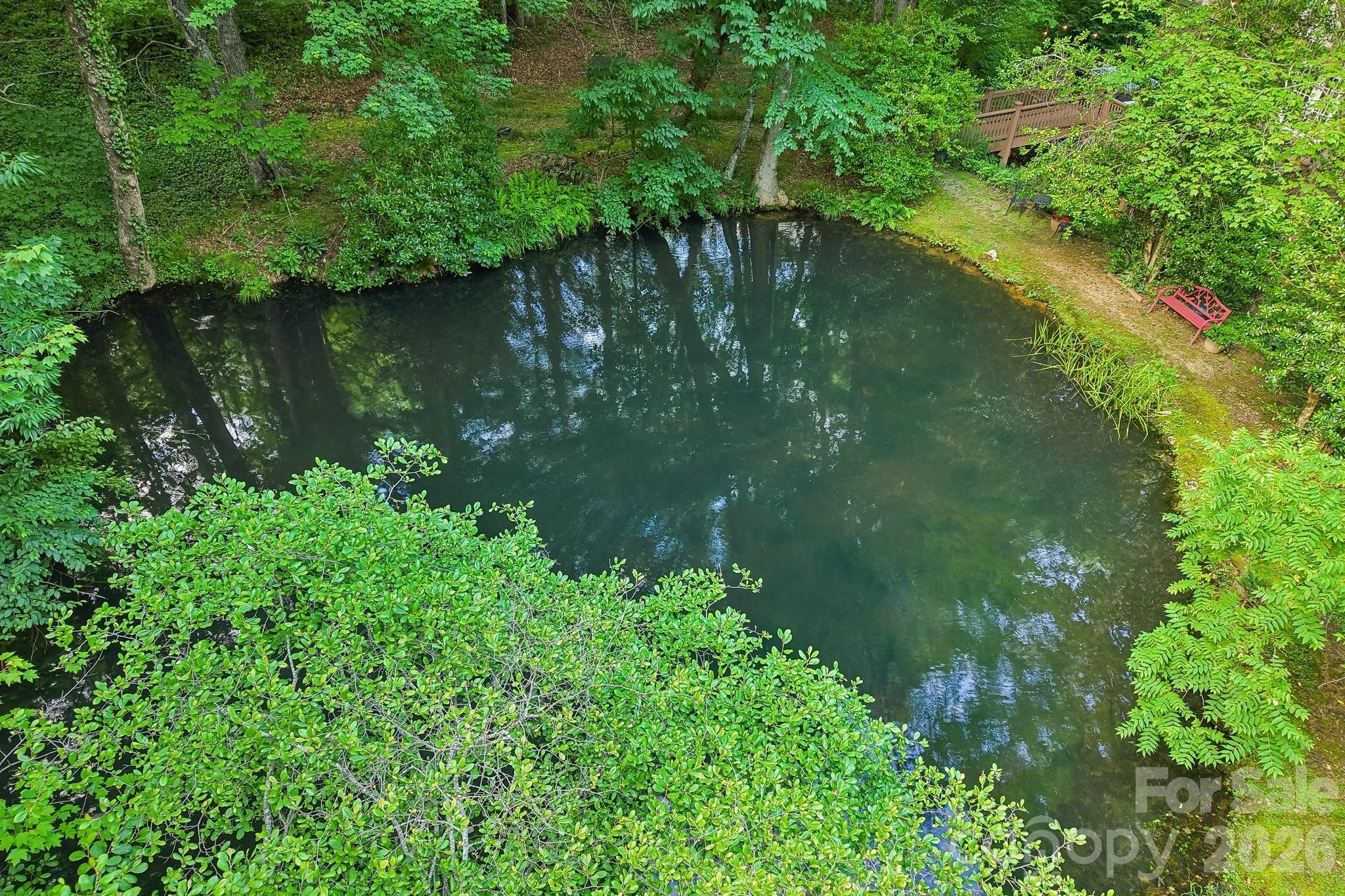 Image 4 Image 4