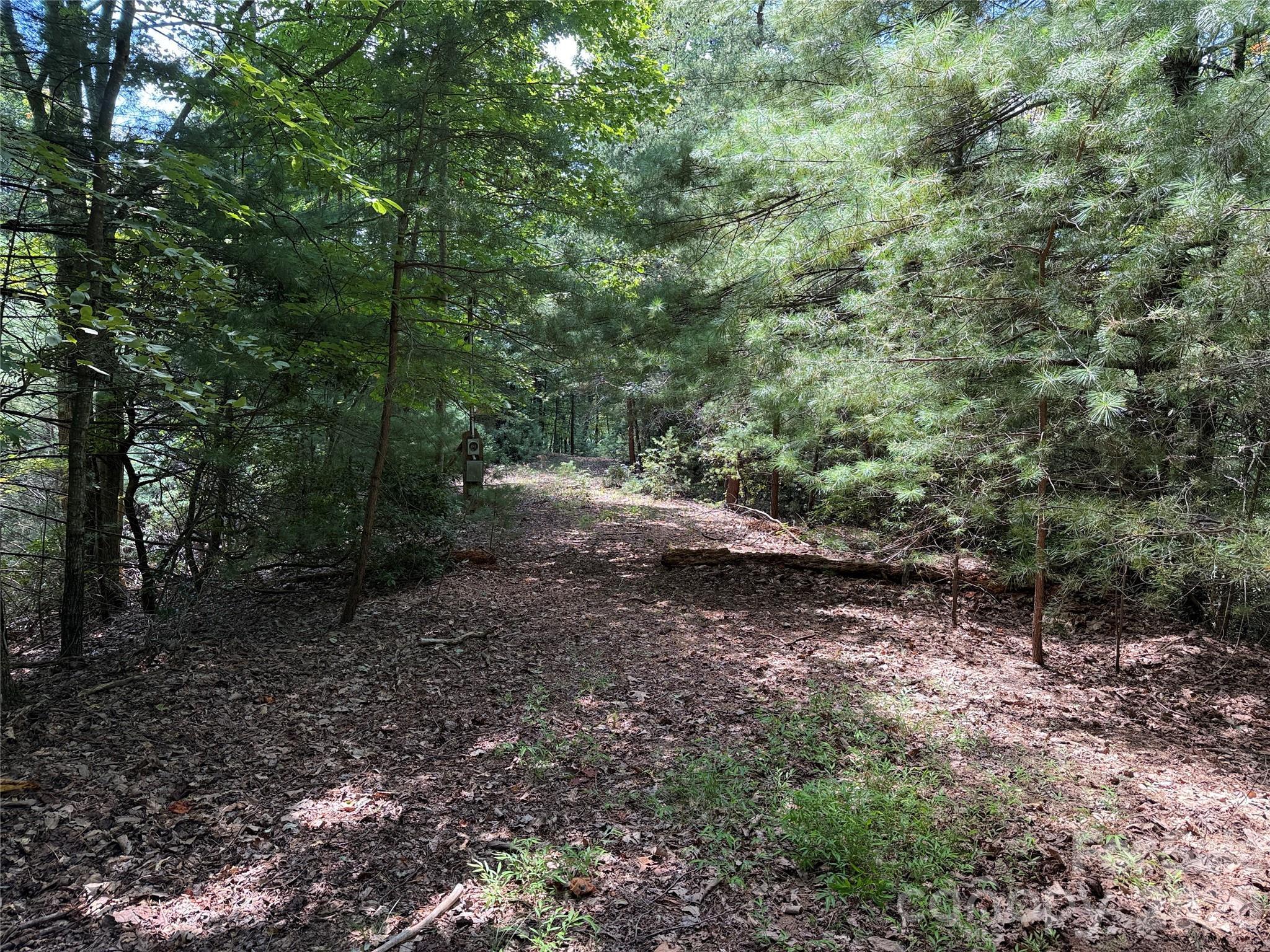 Image 4 Image 4